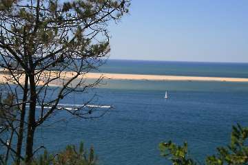 Bild-89