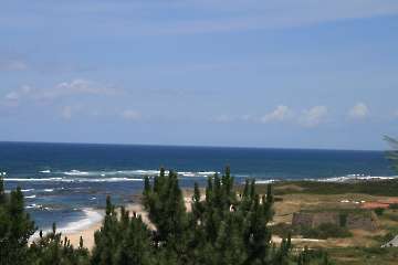 Bild-124