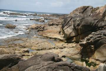 Bild-130