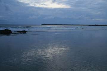 Bild-146